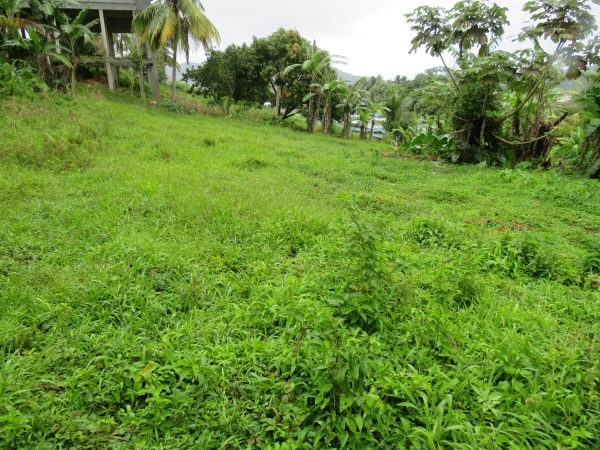 Land for sale